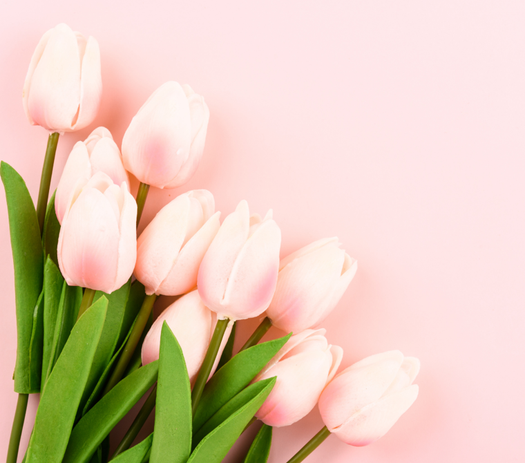 Coping with Grief on Mother’s Day	