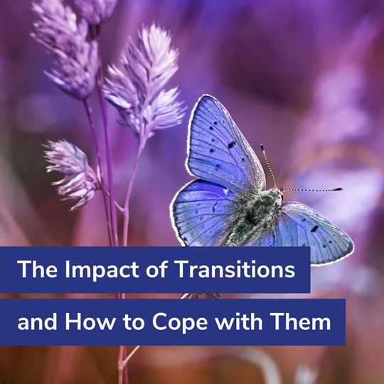 The Impact of Transitions and How to Cope with Them