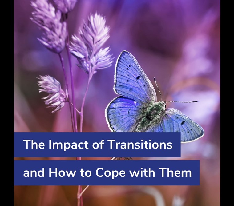 The Impact of Transitions and How to Cope with Them