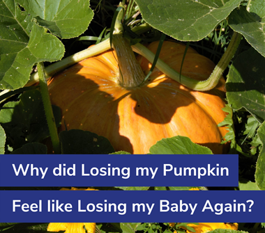 Why did Losing my Pumpkin Feel like Losing my Baby Again?