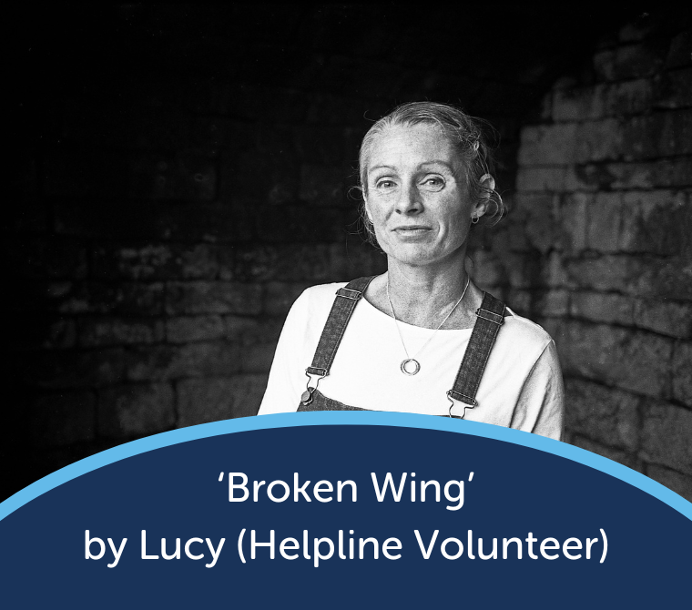 'Broken Wing' by Lucy (Helpline Volunteer)